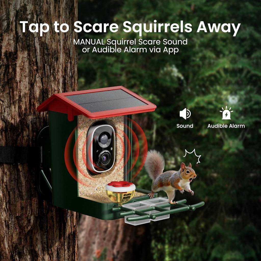 Squirrel scare sound from the app