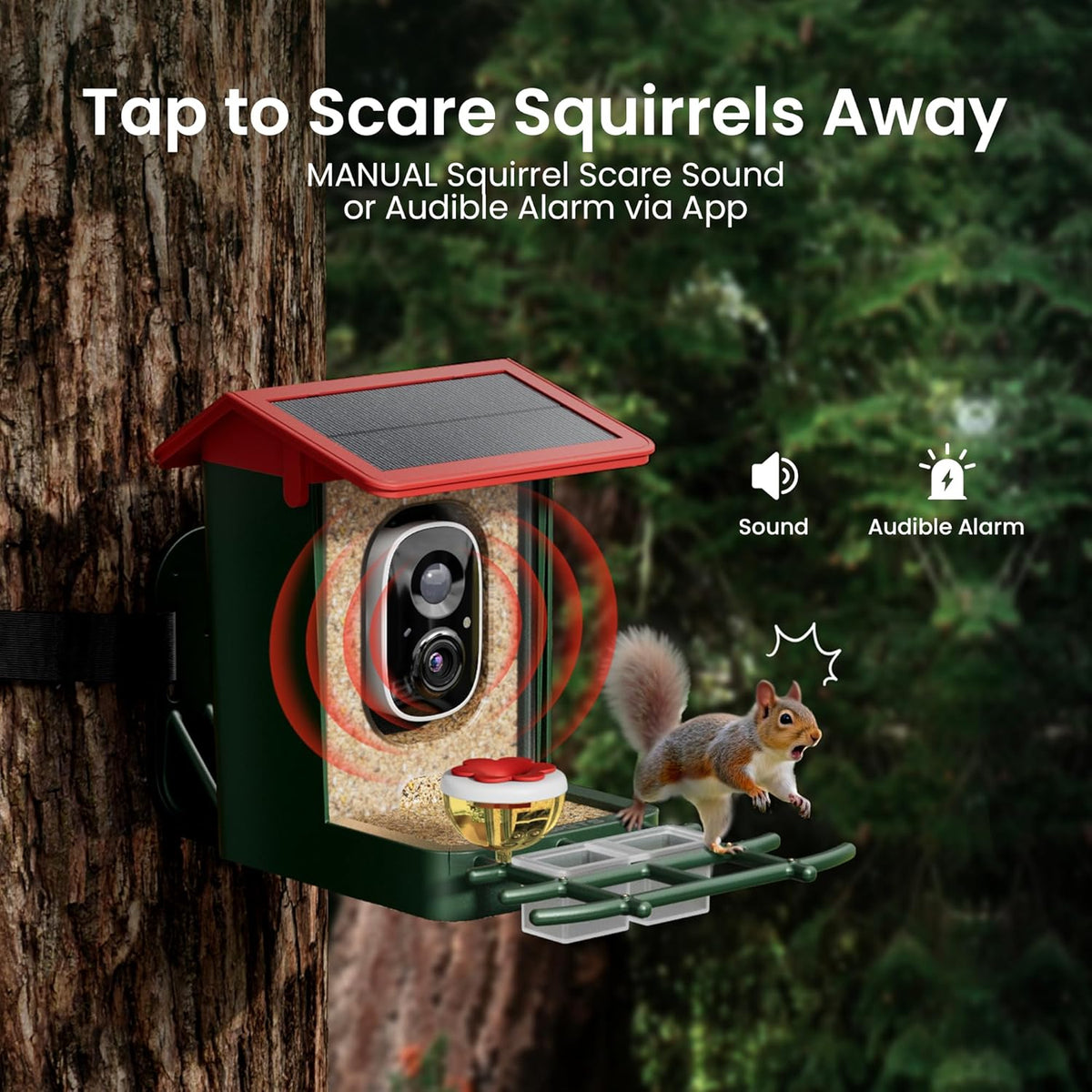 Squirrel scare sound from the app