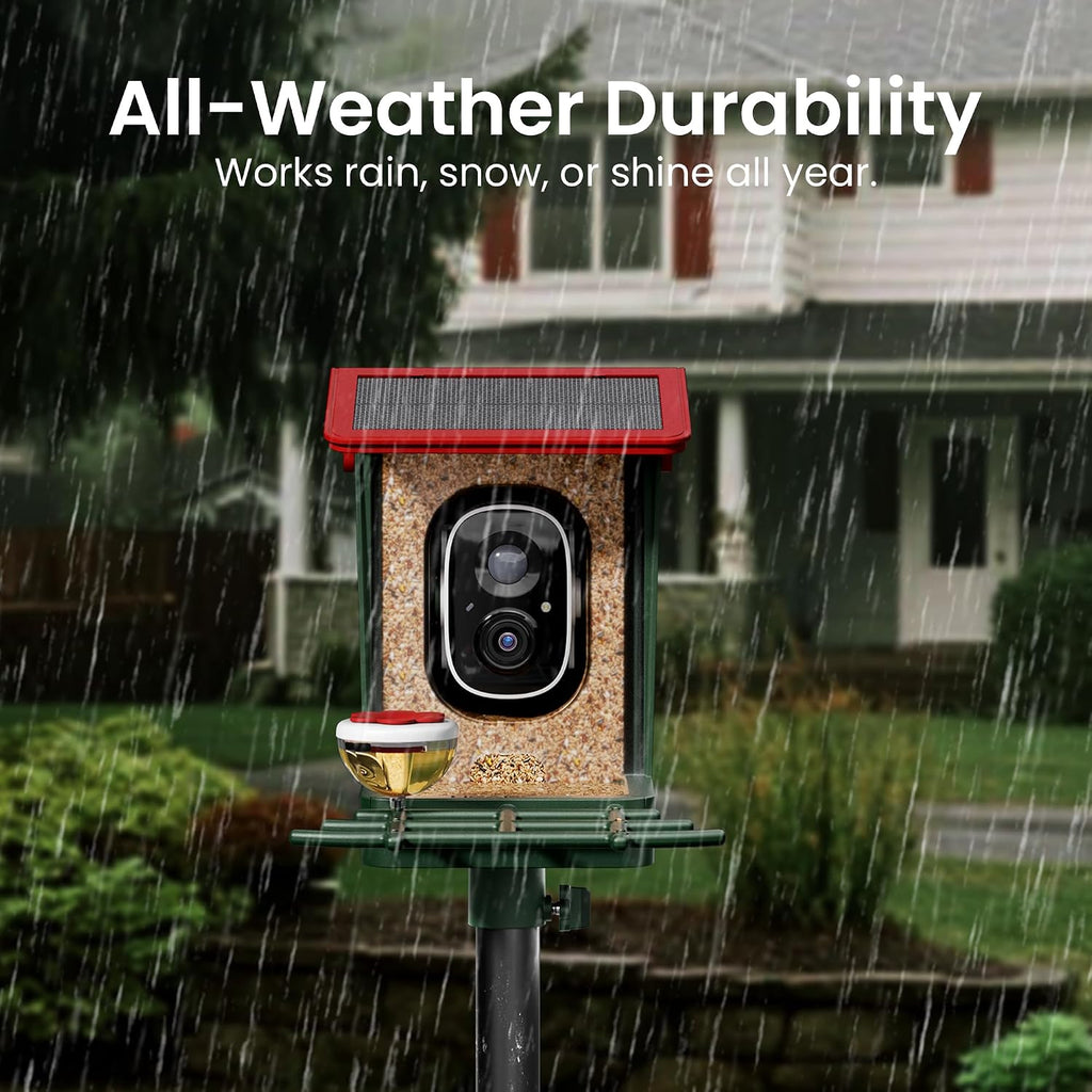 Bird feeder camera in the rain
