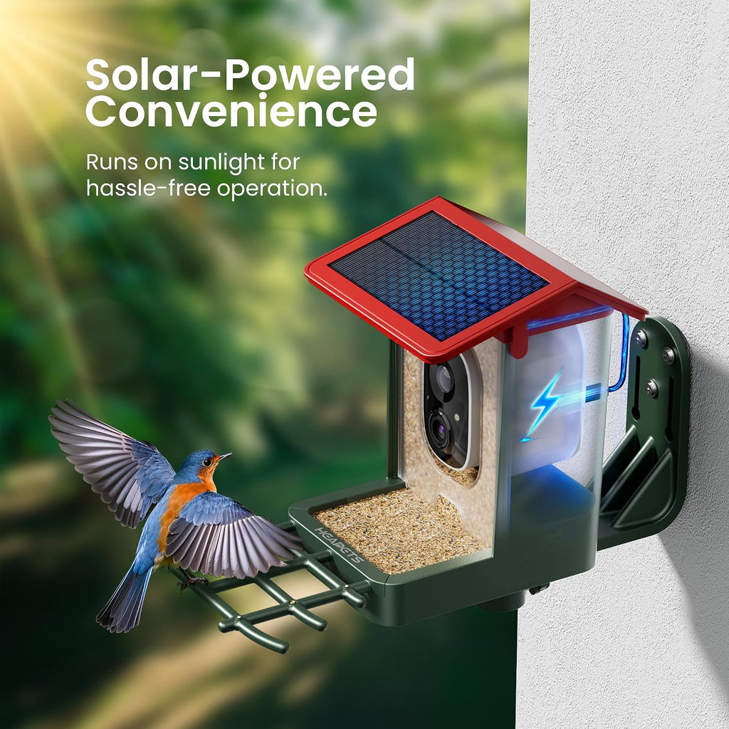 Solar panel roof powering the bird feeder camera