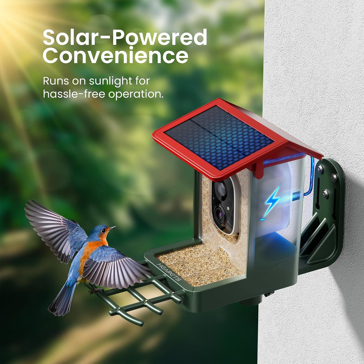 Solar panel roof powering the bird feeder camera